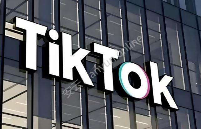 TikTok全球营销指南：巧妙避开文化雷区的策略解析-教程导航