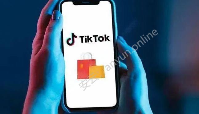 TikTok选品秘籍大揭秘：遵循原则实现销量飙升策略-教程导航