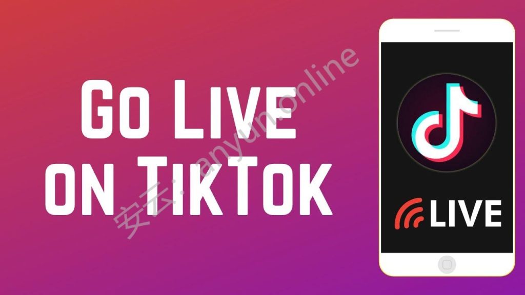 美区TikTok本土店注册秘籍：流程详解与要点指南-教程导航
