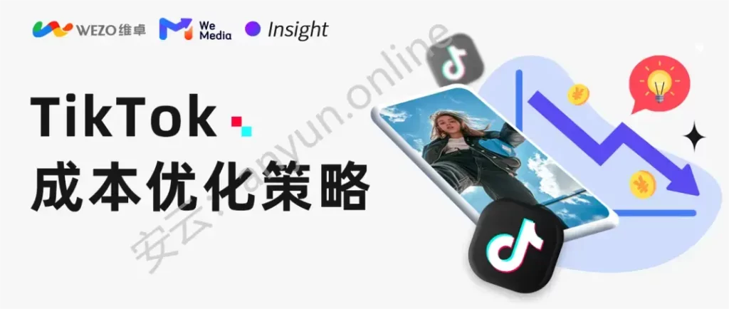 TikTok 广告预算优化指南：3种解决方法+5个专家建议-教程导航