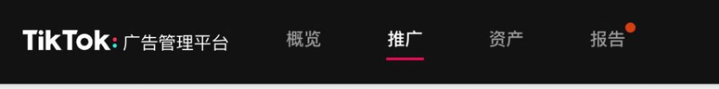 TikTok 产品推广全攻略，掌握广告创建与投放技巧-教程导航