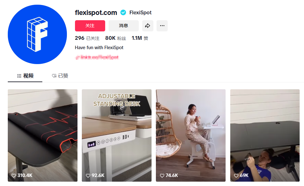 图片[5]-宁波诞生海外大卖Flexispot！半年营收近10亿，成功开拓75国市场-教程导航
