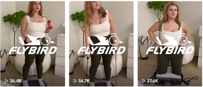 图片[4]-单日狂卖3.9万台！Flybird健身机血洗TikTok榜单的商业密码-教程导航
