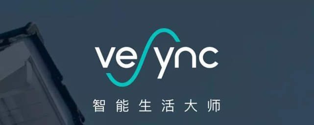 图片[2]-深圳加湿器品牌Levoit海外爆卖：月销4700万美元产品双驱动策略-教程导航