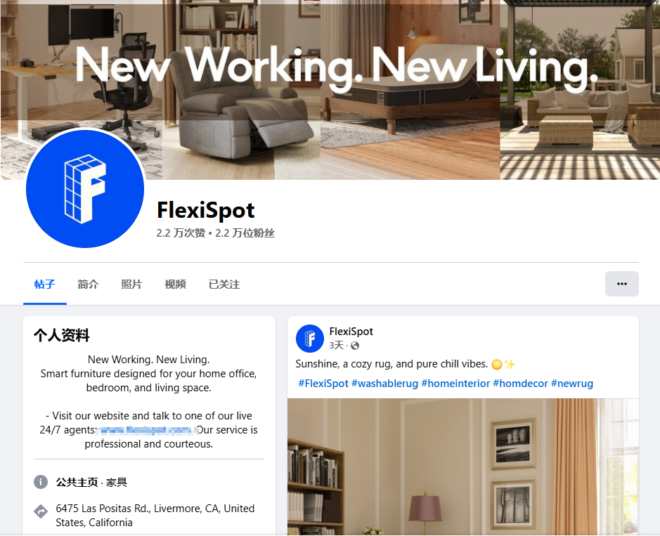 图片[10]-宁波诞生海外大卖Flexispot！半年营收近10亿，成功开拓75国市场-教程导航
